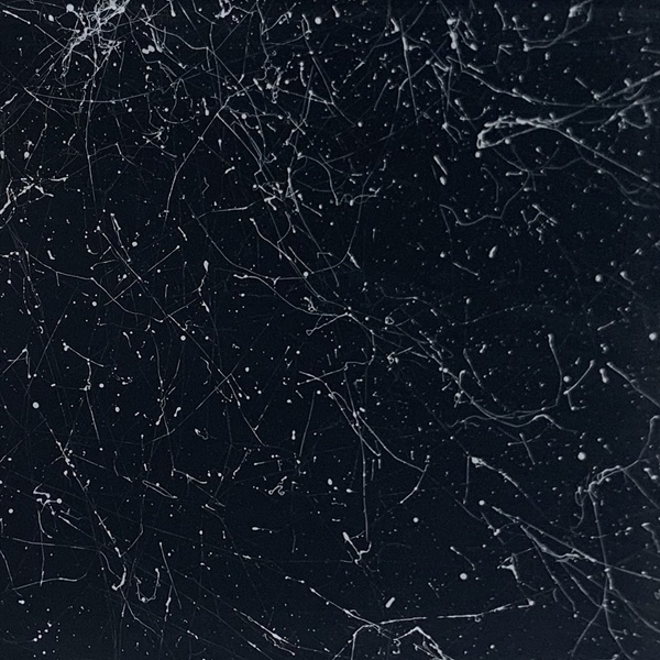 Cobweb Colour - Black & White