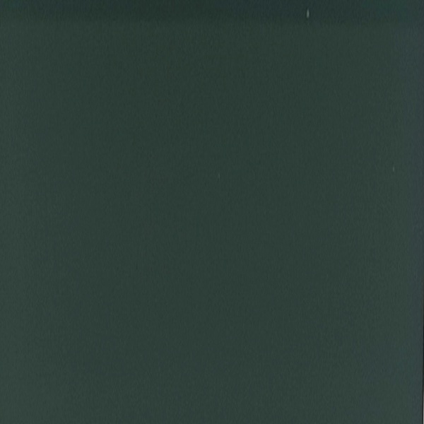 Solid Colour - Contemporary Green