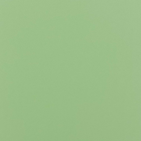 Solid Colour - Mint